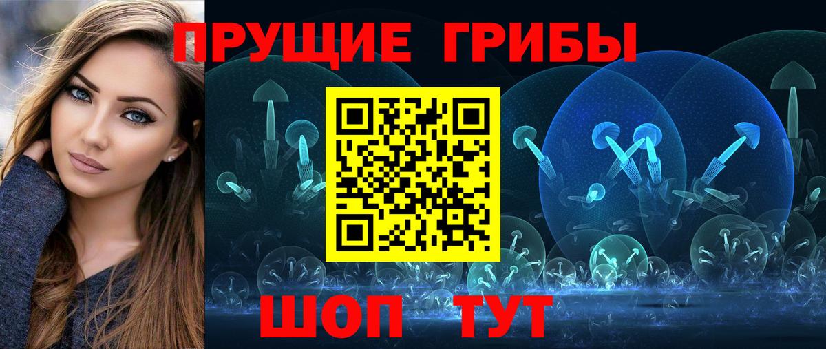 Карачаевск  Псилоцибиновые грибы GOLDEN TEACHER  Вход с VPN 