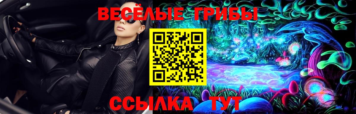 Галлюциногенные грибы мухоморы Карачаевск